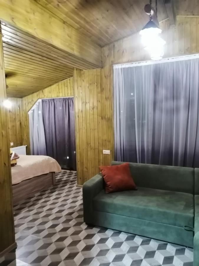Отель Hotel Nine Бакуриани-16