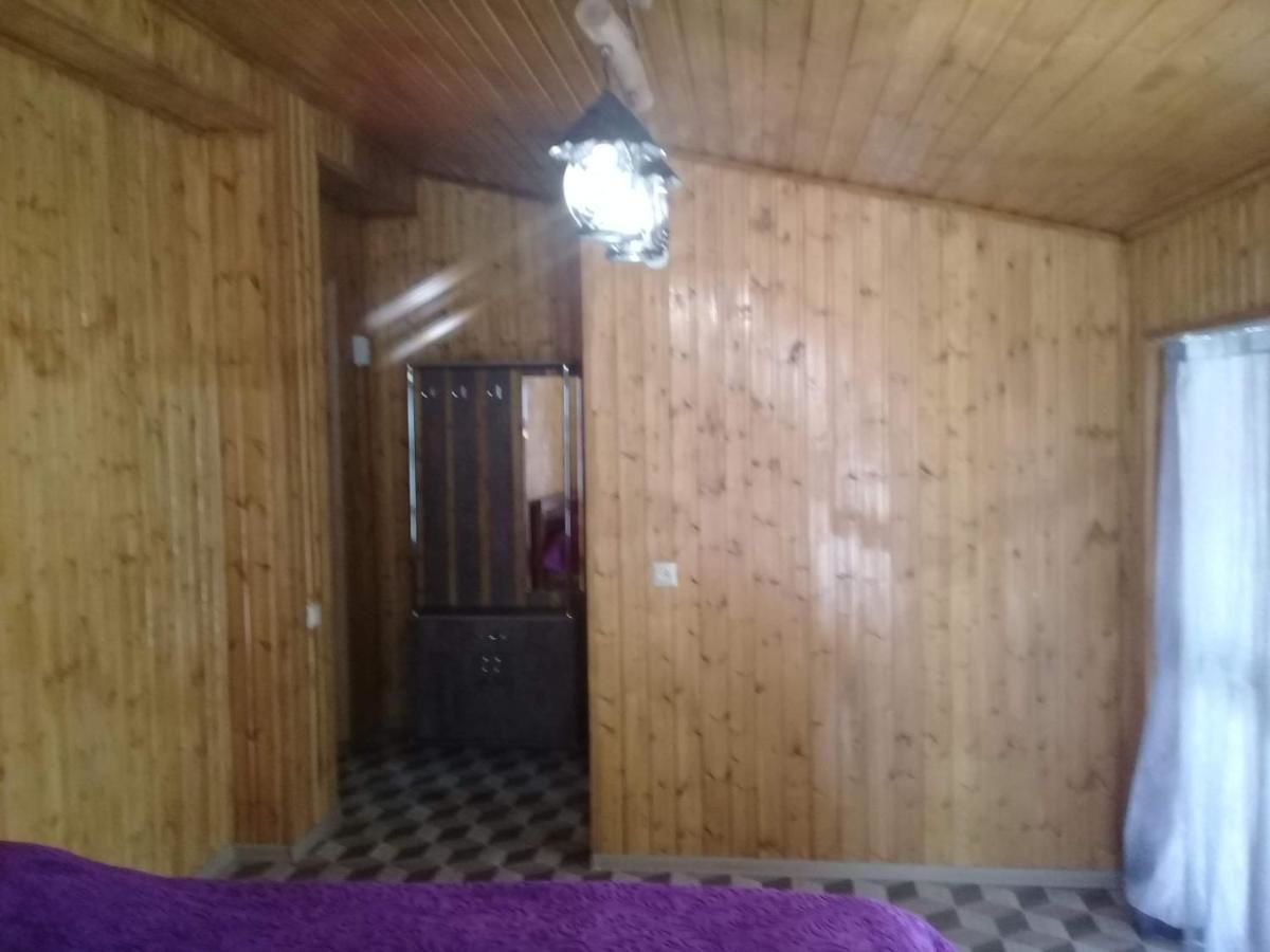 Отель Hotel Nine Бакуриани-17