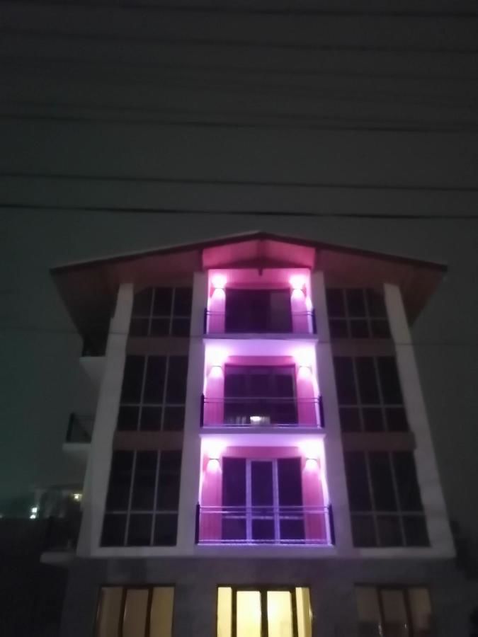 Отель Hotel Nine Бакуриани-5