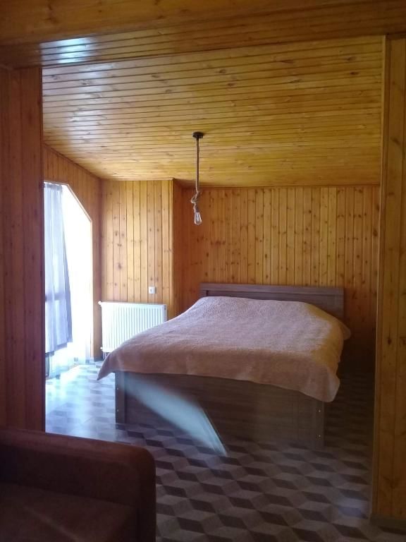 Отель Hotel Nine Бакуриани-26
