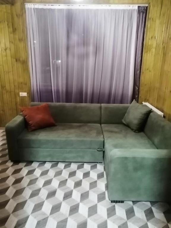 Отель Hotel Nine Бакуриани-28