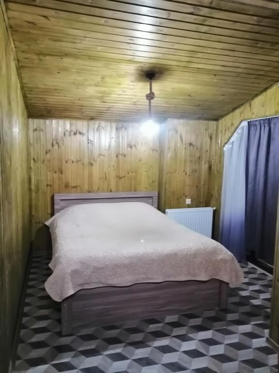 Отель Hotel Nine Бакуриани-29