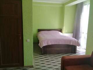 Отель Hotel Nine Бакуриани-2